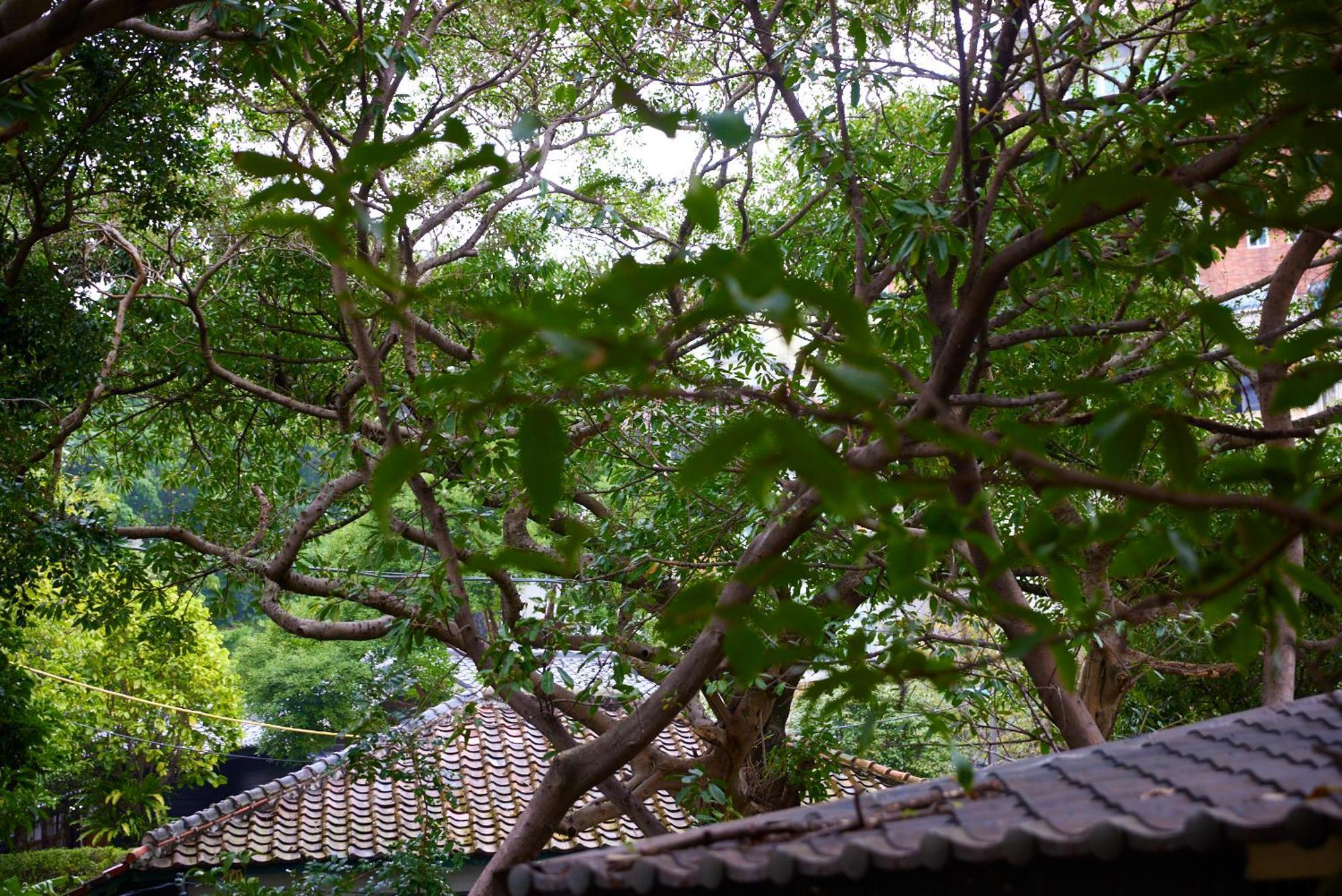 טאיפיי Kyokusui Hotspring Hotel מראה חיצוני תמונה